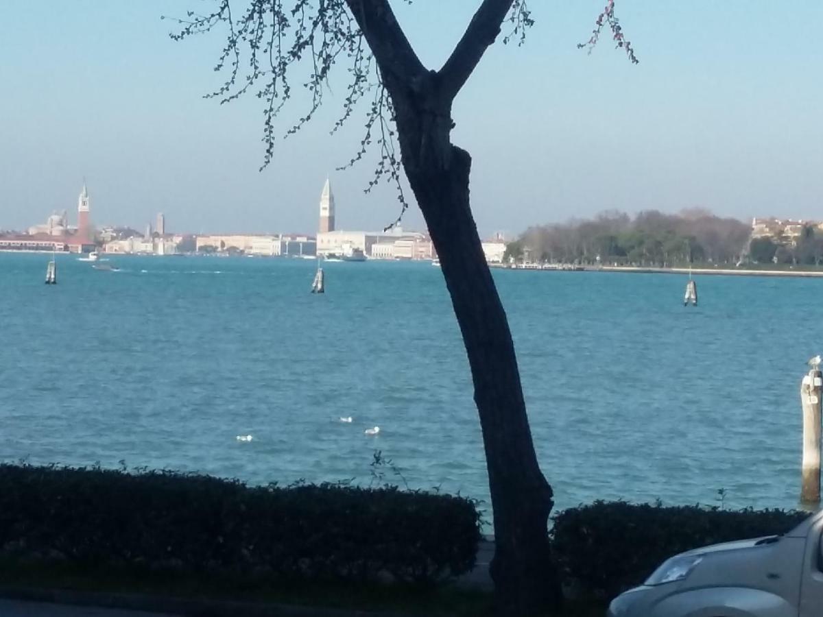 Bellavista Sanmarco Venice And Lagoon View Lido di Venezia Exterior photo